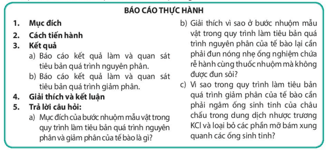 Lý thuyết Sinh 10 Bài 18: Thực hành làm và quan sát tiêu bản quá trình nguyên phân và giảm phân - Kết nối tri thức