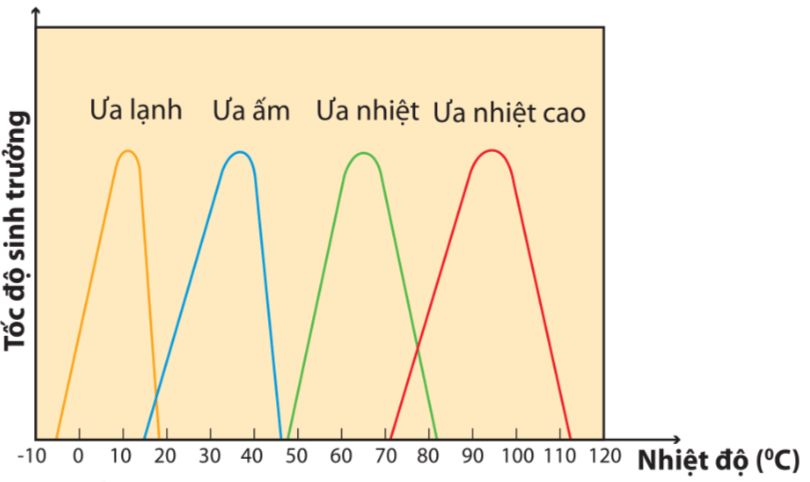 Lý thuyết Sinh 10 Bài 21: Trao đổi chất, sinh trưởng và sinh sản ở vi sinh vật - Kết nối tri thức