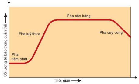 Lý thuyết Sinh 10 Bài 21: Trao đổi chất, sinh trưởng và sinh sản ở vi sinh vật - Kết nối tri thức