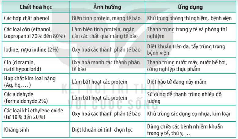 Lý thuyết Sinh 10 Bài 21: Trao đổi chất, sinh trưởng và sinh sản ở vi sinh vật - Kết nối tri thức