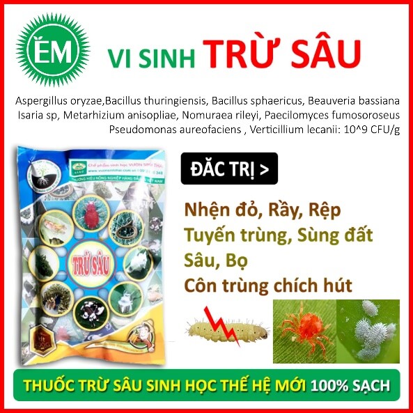 Lý thuyết Sinh 10 Bài 21: Trao đổi chất, sinh trưởng và sinh sản ở vi sinh vật - Kết nối tri thức