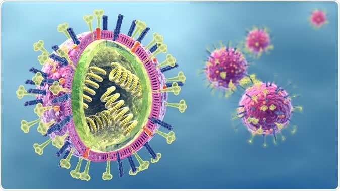 Lý thuyết Sinh 10 Bài 24: Khái quát về virus - Kết nối tri thức