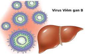 Lý thuyết Sinh 10 Bài 25: Một số bệnh do virus và các thành tựu nghiên cứu ứng dụng virus - Kết nối tri thức