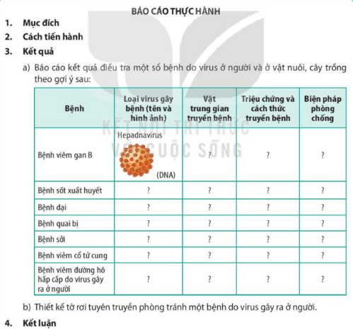 Lý thuyết Sinh 10 Bài 26: Thực hành điều tra một số bệnh do virus và tuyên truyền phòng chống bệnh