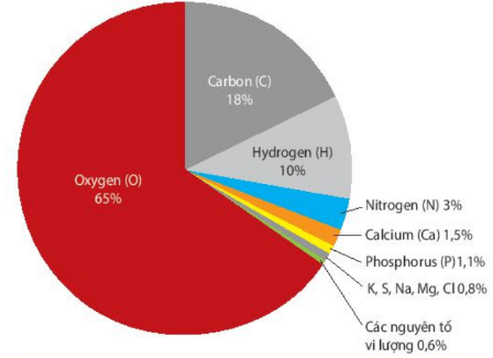 Lý thuyết Sinh 10 Bài 4: Các nguyên tố hóa học và nước - Kết nối tri thức