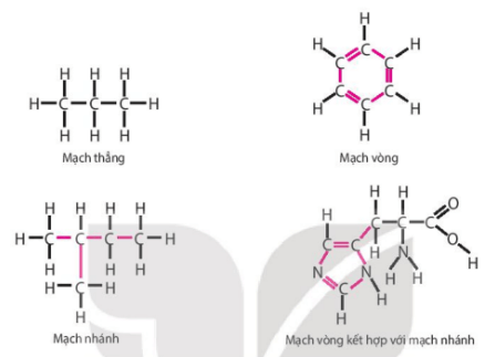 Lý thuyết Sinh 10 Bài 4: Các nguyên tố hóa học và nước - Kết nối tri thức