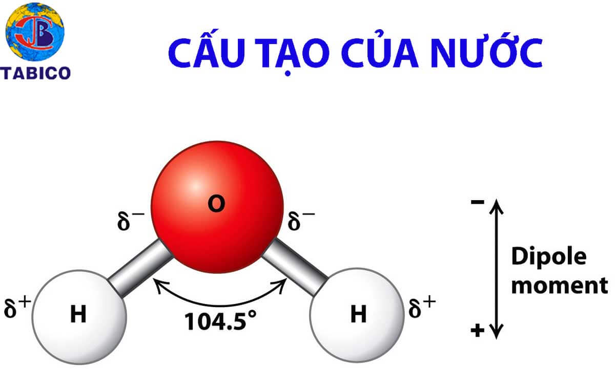 Lý thuyết Sinh 10 Bài 4: Các nguyên tố hóa học và nước - Kết nối tri thức