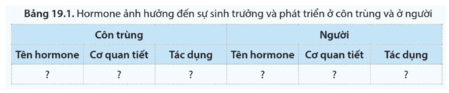 Quan sát hình 19.1 và hình 19.2, đọc thông tin, hoàn thành bảng 19.1