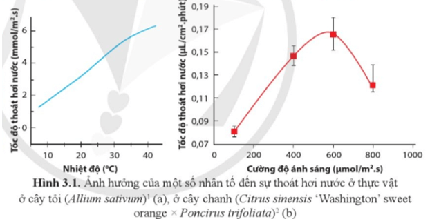 Quan sát hình 3.1, cho biết nhiệt độ không khí, cường độ ánh sáng tác động đến tốc độ thoát hơi nước như thế nào?