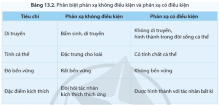 Dựa vào bảng 13.2, nêu đặc điểm của phản xạ không điều kiện và phản xạ có điều kiện