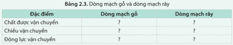 Mô tả đặc điểm dòng vận chuyển trong mạch gỗ và mạch rây theo gợi ý ở bảng 2.3