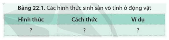 Phân biệt các hình thức sinh sản vô tính ở động vật theo gợi ý ở bảng 22.1