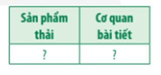 Hãy kể tên các sản phẩm thải của cơ thể và tên cơ quan chủ yếu