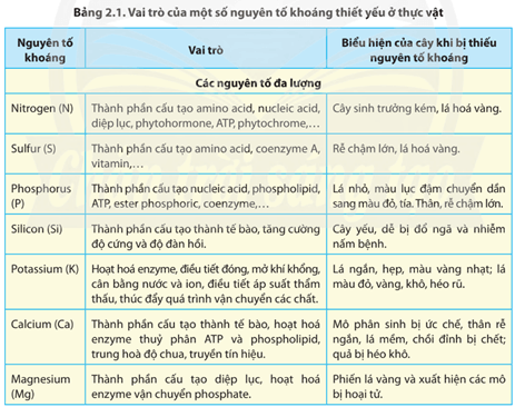 Xem Bảng 2.1, Hình 2.2 và liệt kê những biểu hiện của cây khi thiếu các nguyên tố khoáng