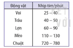 Bảng dưới đây cho thấy nhịp tim của một số động vật