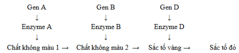 Trắc nghiệm Sinh học 12 Bài 7: Di truyền học Mendel và mở rộng học thuyết Mendel | Cánh diều