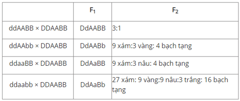 Trắc nghiệm Sinh học 12 Bài 7: Di truyền học Mendel và mở rộng học thuyết Mendel | Cánh diều