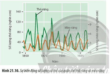 Đọc thông tin và quan sát Hình 21.10, hãy xác định kiểu biến động số lượng cá thể của quần thể