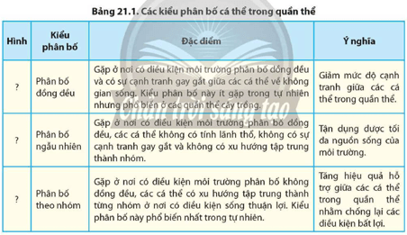 Quan sát Hình 21.7 và đọc thông tin trong Bảng 21.1, hãy Cho biết nguyên nhân dẫn đến sự phân bố cá thể