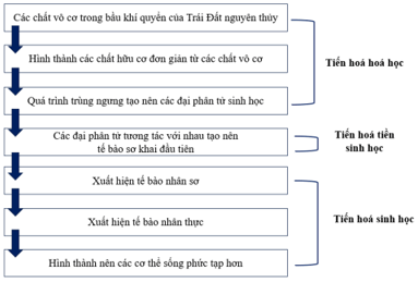 Hãy vẽ sơ đồ đơn giản, tóm lược các giai đoạn chính của quá trình phát sinh sự sống trên Trái Đất