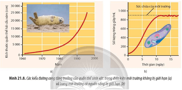 Quan sát Hình 21.8, hãy phân biệt hai kiểu tăng trưởng của quần thể sinh vật