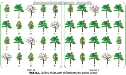 Quan sát Hình 23.3 và cho nhận xét về thành phần loài cây có trong hai quần xã