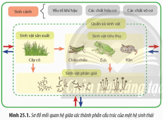 Quan sát Hình 25.1, gọi tên sinh vật tiêu thụ bậc 2, 3