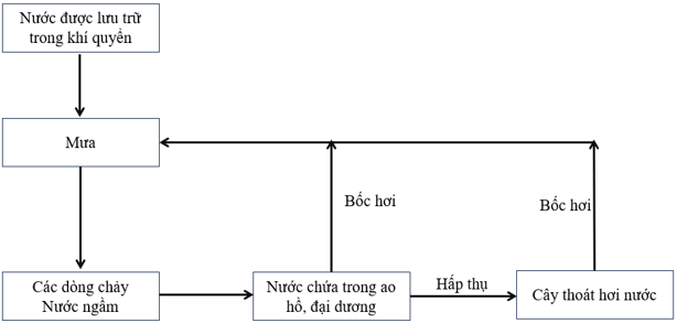 Vẽ sơ đồ khái quát của chu trình nước, carbon và nitrogen trang 167 Sinh học 12