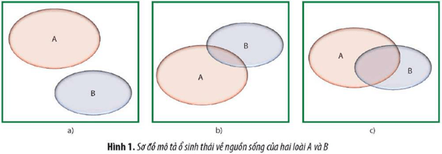 Hình 1 mô tả ổ sinh thái về nguồn sống của hai loài A và B