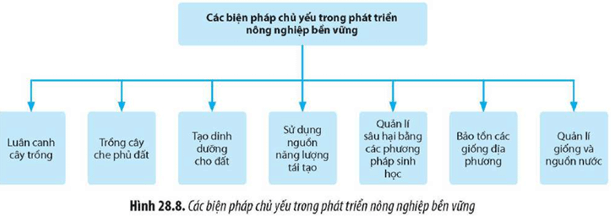 Quan sát Hình 28.8, giải thích vai trò của các biện pháp trong nông nghiệp bền vững