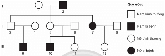 Ở người, bệnh mù màu đỏ lục do gene lặn nằm trên vùng không tương đồng của nhiễm sắc thể giới tính X quy định