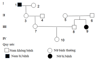 Trắc nghiệm Sinh học 12 Bài 14: Di truyền học người | Chân trời sáng tạo