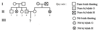 Trắc nghiệm Sinh học 12 Bài 14: Di truyền học người | Chân trời sáng tạo