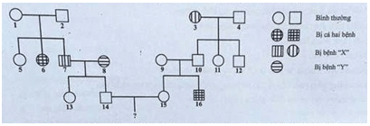 Trắc nghiệm Sinh học 12 Bài 14: Di truyền học người | Chân trời sáng tạo