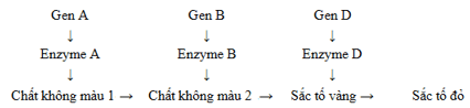 Trắc nghiệm Sinh học 12 Bài 7: Di truyền học Mendel và mở rộng học thuyết Mendel | Chân trời sáng tạo