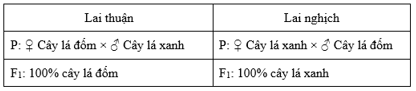 Trắc nghiệm Sinh học 12 Bài 9: Di truyền gene ngoài nhân | Chân trời sáng tạo