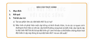 Sinh 12 Kết nối tri thức Bài 14: Thực hành: Quan sát một số dạng đột biến nhiễm sắc thể | Giải Sinh học 12