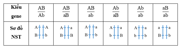 Xét hai cặp tính trạng tương phản do hai gene nằm trên cùng một NST quy định