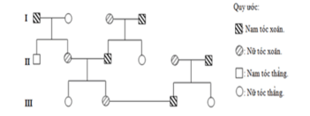 Hãy vẽ sơ đồ phả hệ ghi lại sự di truyền một tính trạng nào đó