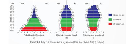 Quan sát Hình 24.6, dựa vào cấu trúc tuổi của mỗi quần thể để dự đoán xu hướng tăng trưởng