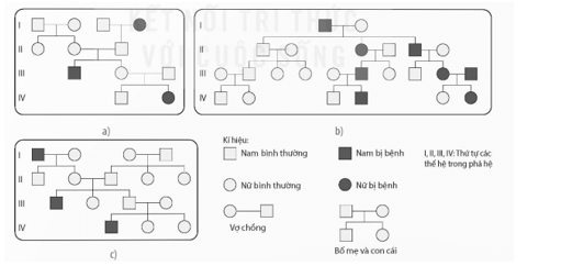 Quan sát Hình 13.1 và cho biết các bệnh di truyền trên hình được di truyền theo kiểu trội hay lặn