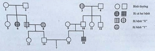 Trắc nghiệm Sinh học 12 Bài 13: Di truyền học người và di truyền y học | Kết nối tri thức