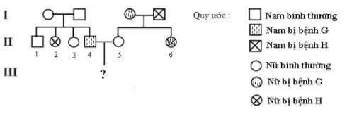 Trắc nghiệm Sinh học 12 Bài 13: Di truyền học người và di truyền y học | Kết nối tri thức