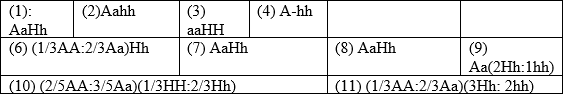 Trắc nghiệm Sinh học 12 Bài 13: Di truyền học người và di truyền y học | Kết nối tri thức