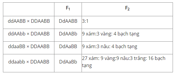 Trắc nghiệm Sinh học 12 Bài 9: Mở rộng học thuyết Mendel | Kết nối tri thức