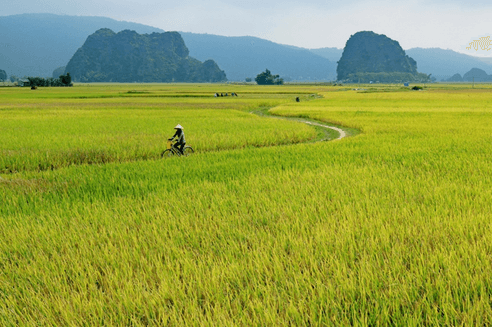 Soạn bài Khúc đồng quê | Ngắn nhất Soạn văn 12 Kết nối tri thức