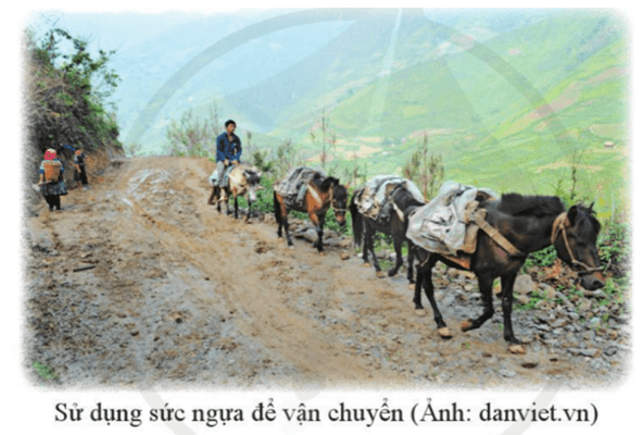 Soạn bài Phương tiện vận chuyển của các dân tộc thiểu số Việt Nam ngày xưa | Ngắn nhất Soạn văn 7 Cánh diều