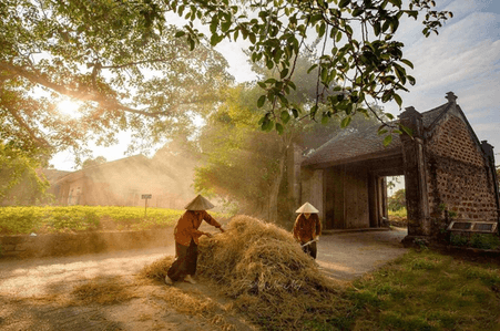 Soạn bài Về truyện Làng của Kim Lân | Ngắn nhất Soạn văn 9 Cánh diều