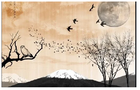 Soạn bài Chùm thơ hai-cư Nhật Bản | Hay nhất Soạn văn 10 Kết nối tri thức