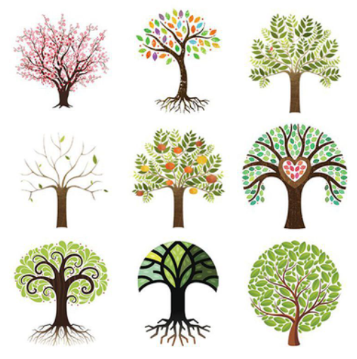 Tóm tắt Tính cách của cây hay, ngắn nhất | Ngữ văn lớp 10 Kết nối tri thức
